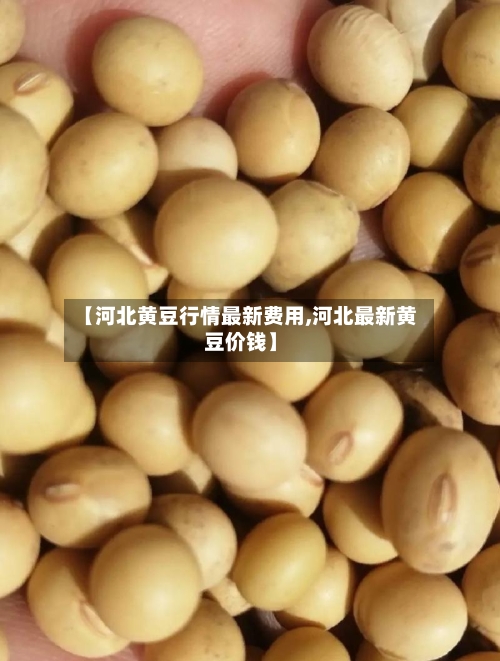 【河北黄豆行情最新费用,河北最新黄豆价钱】