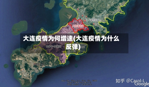 大连疫情为何增速(大连疫情为什么反弹)