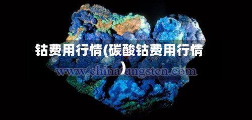 钴费用行情(碳酸钴费用行情)