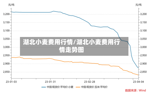 湖北小麦费用行情/湖北小麦费用行情走势图-第3张图片