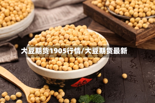 大豆期货1905行情/大豆期货最新