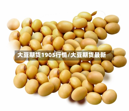 大豆期货1905行情/大豆期货最新-第2张图片