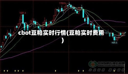 cbot豆粕实时行情(豆粕实时费用)