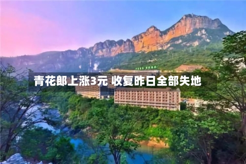 青花郎上涨3元 收复昨日全部失地
