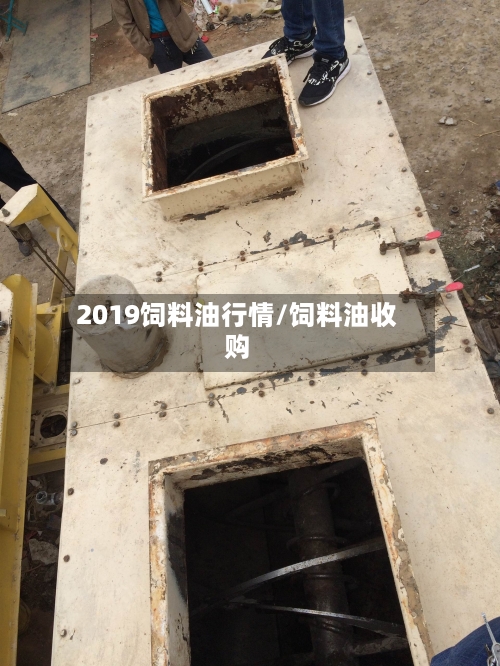 2019饲料油行情/饲料油收购-第3张图片