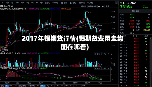 2017年锡期货行情(锡期货费用走势图在哪看)