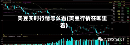 美豆实时行情怎么看(美豆行情在哪里看)-第2张图片