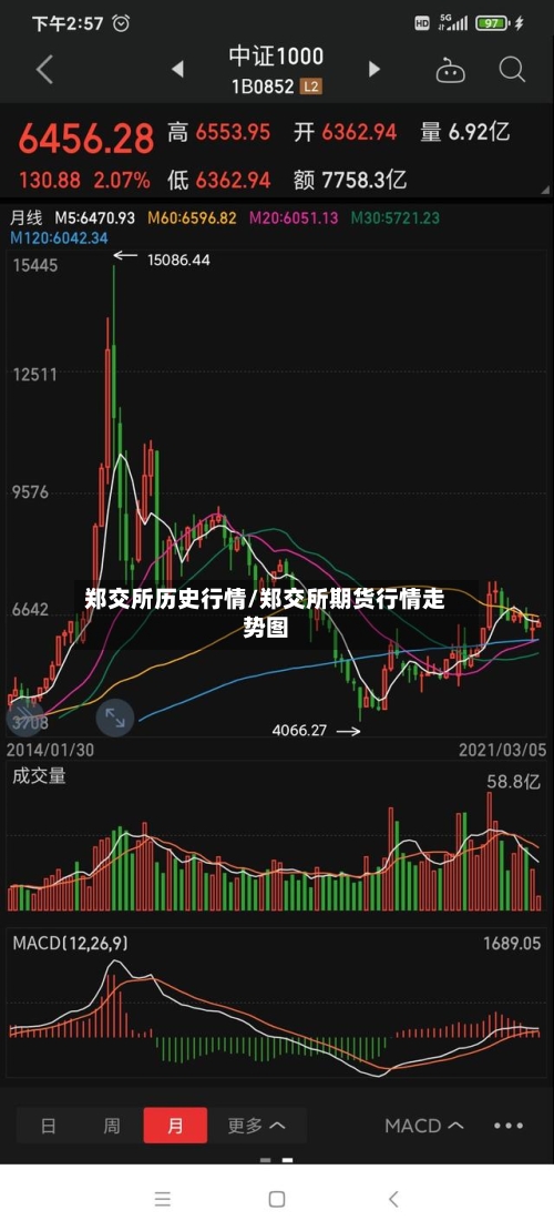 郑交所历史行情/郑交所期货行情走势图-第3张图片