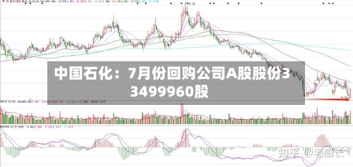 中国石化:7月份回购公司A股股份33499960股
