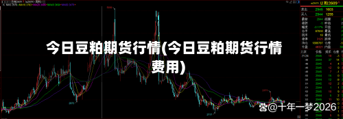 今日豆粕期货行情(今日豆粕期货行情费用)