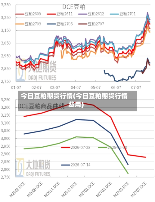 今日豆粕期货行情(今日豆粕期货行情费用)-第2张图片