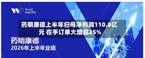 药明康德上半年归母净利润110.8亿元 在手订单大增超25%-第3张图片