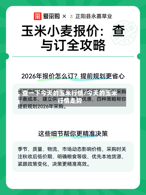查一下今天的玉米行情/今天的玉米行情走势-第1张图片