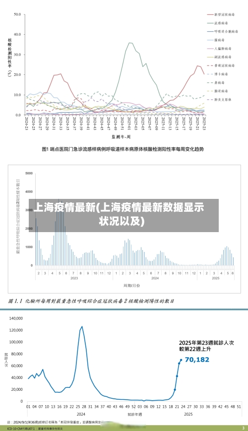 上海疫情最新(上海疫情最新数据显示状况以及)-第2张图片