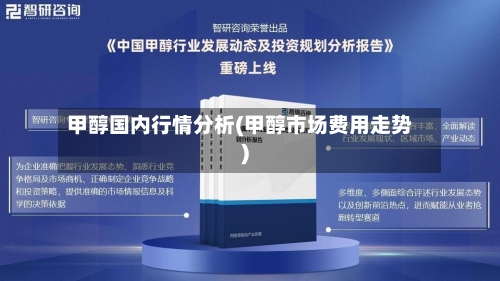 甲醇国内行情分析(甲醇市场费用走势)-第2张图片