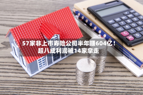 57家非上市寿险公司半年赚604亿!超八成利润被14家拿走-第2张图片