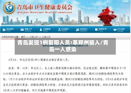 青岛发现1例复阳人员:系郑州输入/青岛一人感染-第2张图片