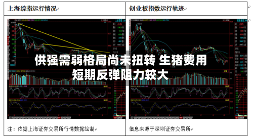 供强需弱格局尚未扭转 生猪费用
短期反弹阻力较大
