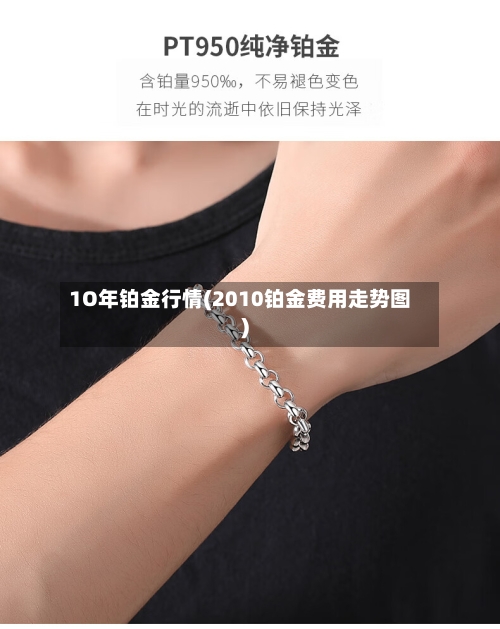 1O年铂金行情(2010铂金费用走势图)-第2张图片
