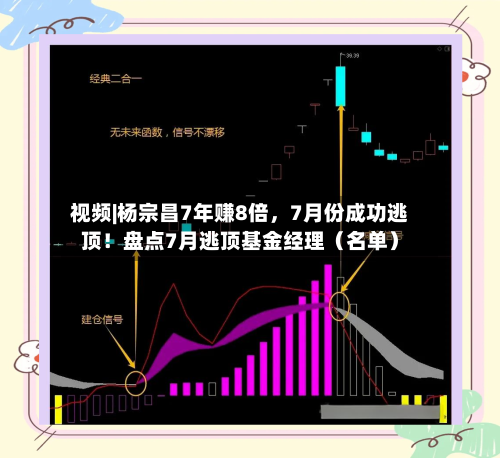 视频|杨宗昌7年赚8倍，7月份成功逃顶！盘点7月逃顶基金经理（名单）-第2张图片