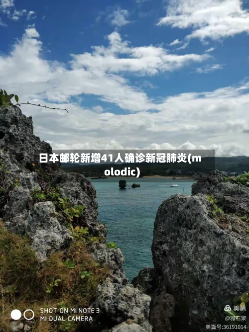 日本邮轮新增41人确诊新冠肺炎(molodic)-第2张图片