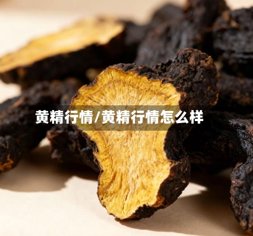 黄精行情/黄精行情怎么样