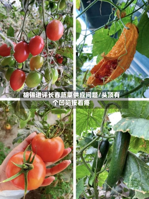 胡锡进评长春蔬菜供应问题/头顶有个凹陷按着疼