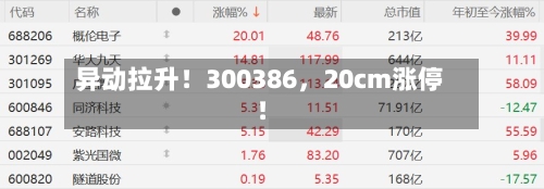 异动拉升！300386，20cm涨停！-第2张图片