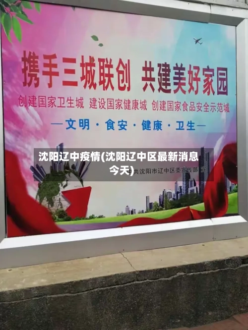 沈阳辽中疫情(沈阳辽中区最新消息今天)-第2张图片