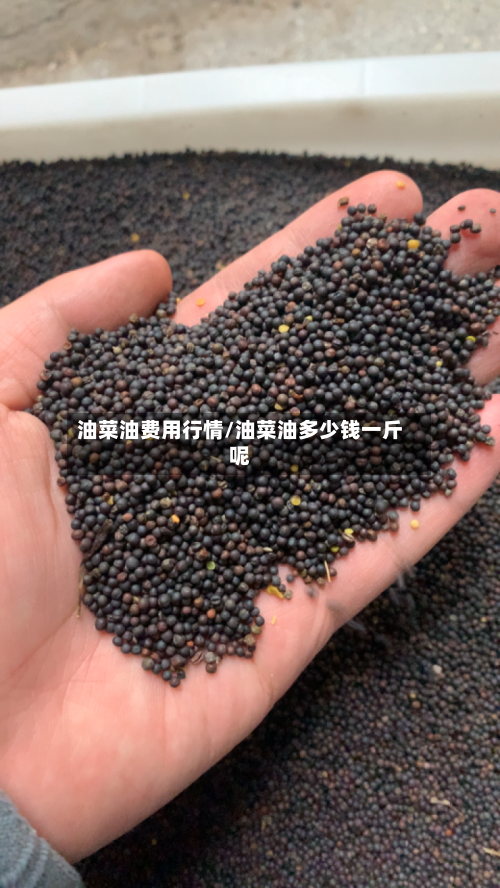 油菜油费用行情/油菜油多少钱一斤呢