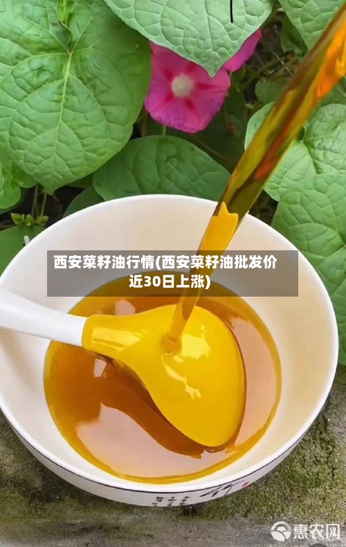 西安菜籽油行情(西安菜籽油批发价近30日上涨)-第2张图片