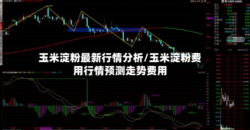 玉米淀粉最新行情分析/玉米淀粉费用行情预测走势费用-第2张图片