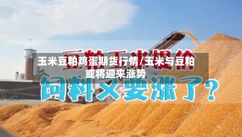 玉米豆粕鸡蛋期货行情/玉米与豆粕或将迎来涨势