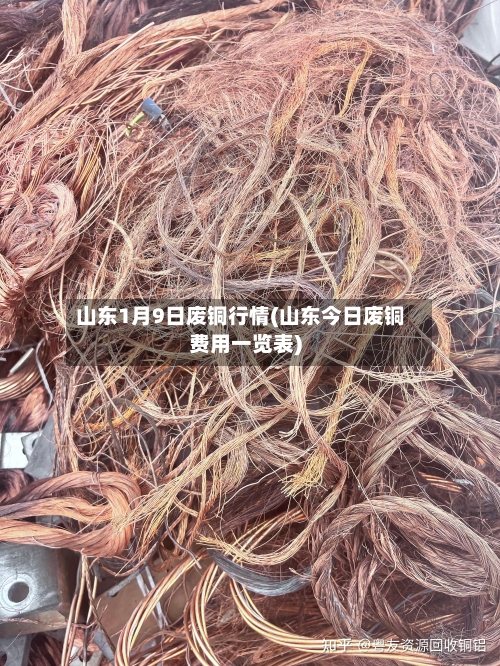 山东1月9日废铜行情(山东今日废铜费用一览表)