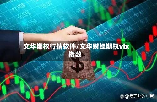 文华期权行情软件/文华财经期权vix指数-第2张图片