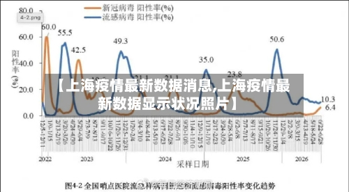 【上海疫情最新数据消息,上海疫情最新数据显示状况照片】-第2张图片