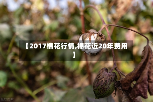 【2017棉花行情,棉花近20年费用】