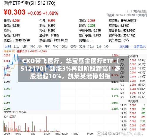 CXO带飞医疗，华宝基金医疗ETF（512170）劲涨3%再创阶段新高！多股涨超10%	，凯莱英涨停封板-第3张图片
