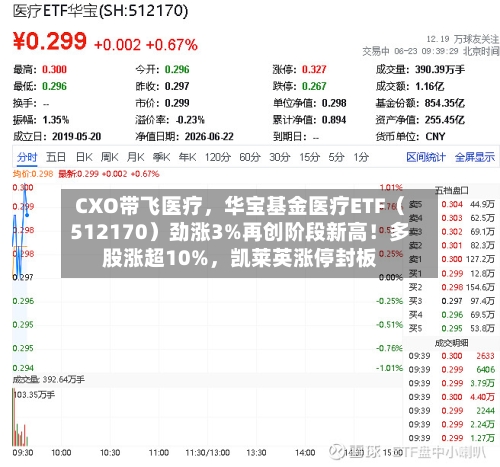 CXO带飞医疗，华宝基金医疗ETF（512170）劲涨3%再创阶段新高！多股涨超10%	，凯莱英涨停封板-第2张图片