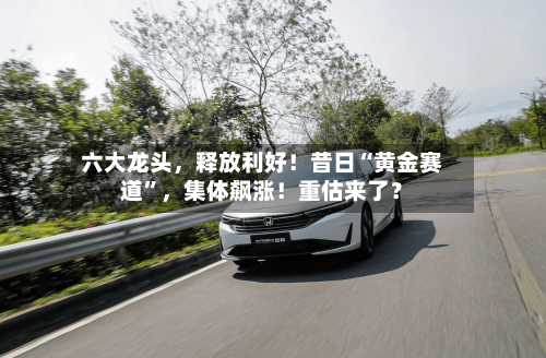 六大龙头,释放利好!昔日“黄金赛道”,集体飙涨!重估来了?