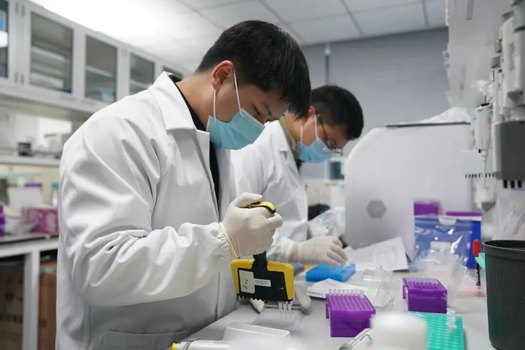 猴子价格涨疯了，20万一只还抢不到？可是峨眉山上不是超级多吗？
